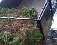 Best Junk Removal Services Kitsap County