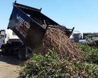 Junk Removal and Hauling Services